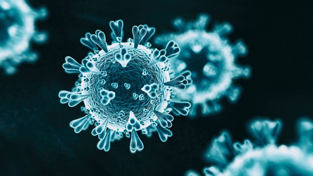 There is no consensus on the origin of covid-19, but the risk of a pandemic starting in a laboratory is real, and grows every year. There is no consensus on the origin of covid-19, but the risk of a pandemic starting in a laboratory is real, and grows every year.