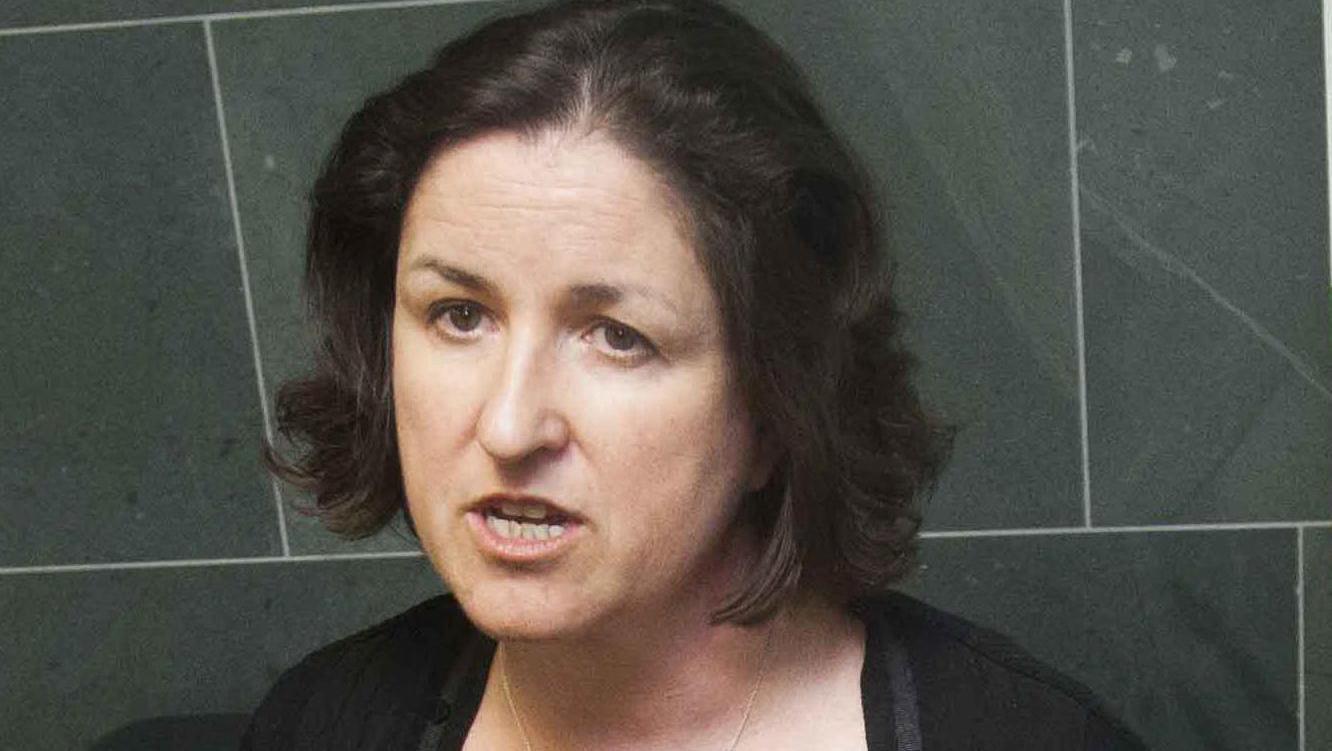 An Bord Pleanála interim boss says legal costs will stay high into the future