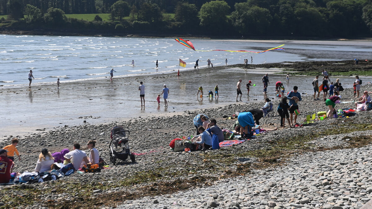 Cork beachgoers alarmed as man 'senseless from alcohol' staggered into sea - Vimarsana News