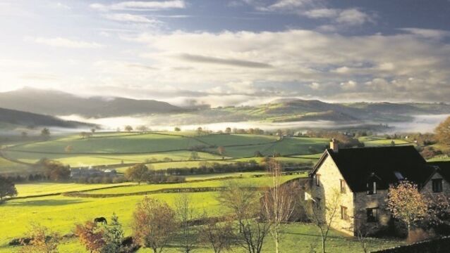 Reader's Blog: Economic policy killing rural Ireland