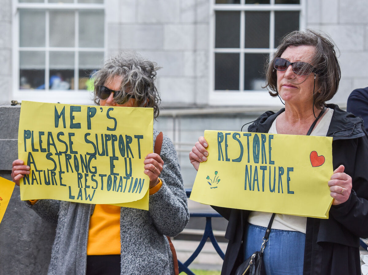 Attendees at a nature rally organised by Cork Environmental Forum at Cork City Hall last month. Picture: Cian O'Regan