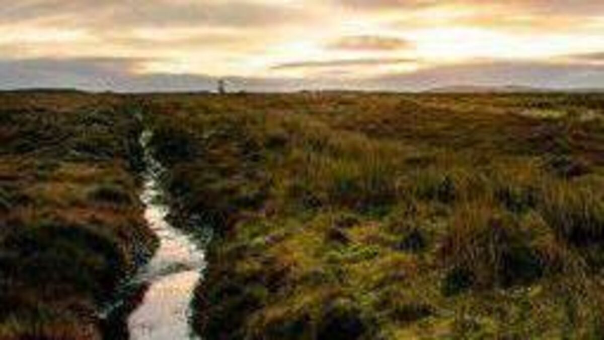 Why has EU's nature restoration proposal turned toxic? - Vimarsana News