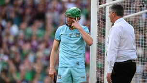 <p>ICING: The stoppage for Nickie Quaid's treatment gave Limerick time to regroup against Galway. Pic: Brendan Moran/Sportsfile</p>