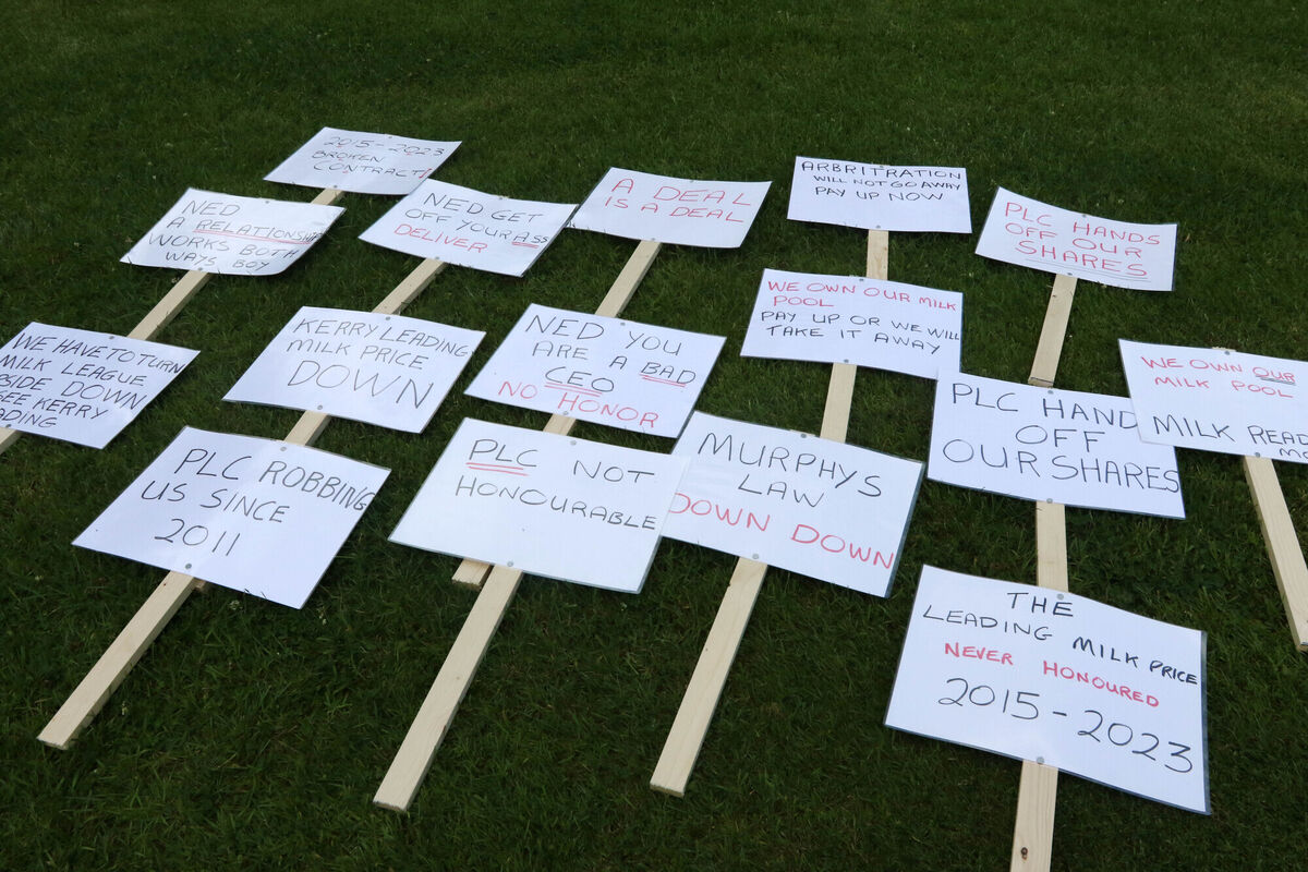 Picture: Brendan Gleeson