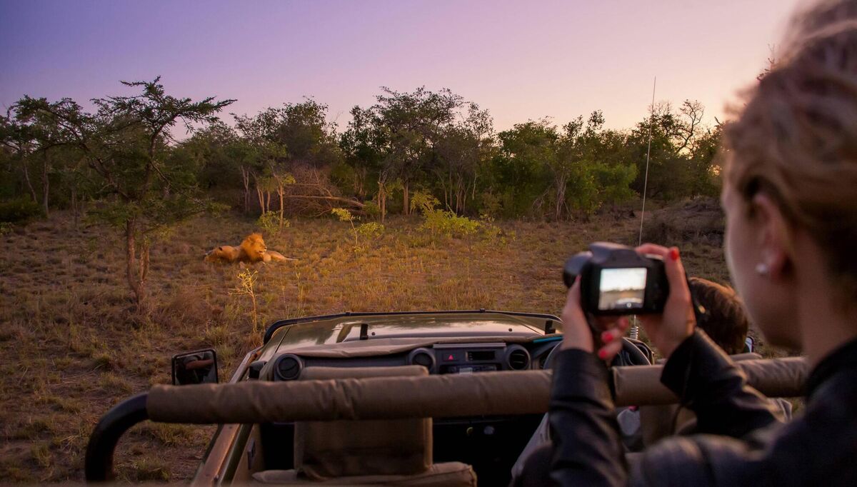 Daily game drives in Kruger National Park, South Africa.