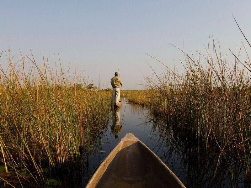Cruise along the Okavango Delta on a traditional Mokoro Safari in Botswana.
