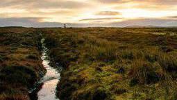 The EU Nature Restoration Law is aimed at restoring 'damaged ecosystems and bring nature back across Europe'. The EU Nature Restoration Law is aimed at restoring 'damaged ecosystems and bring nature back across Europe'.
