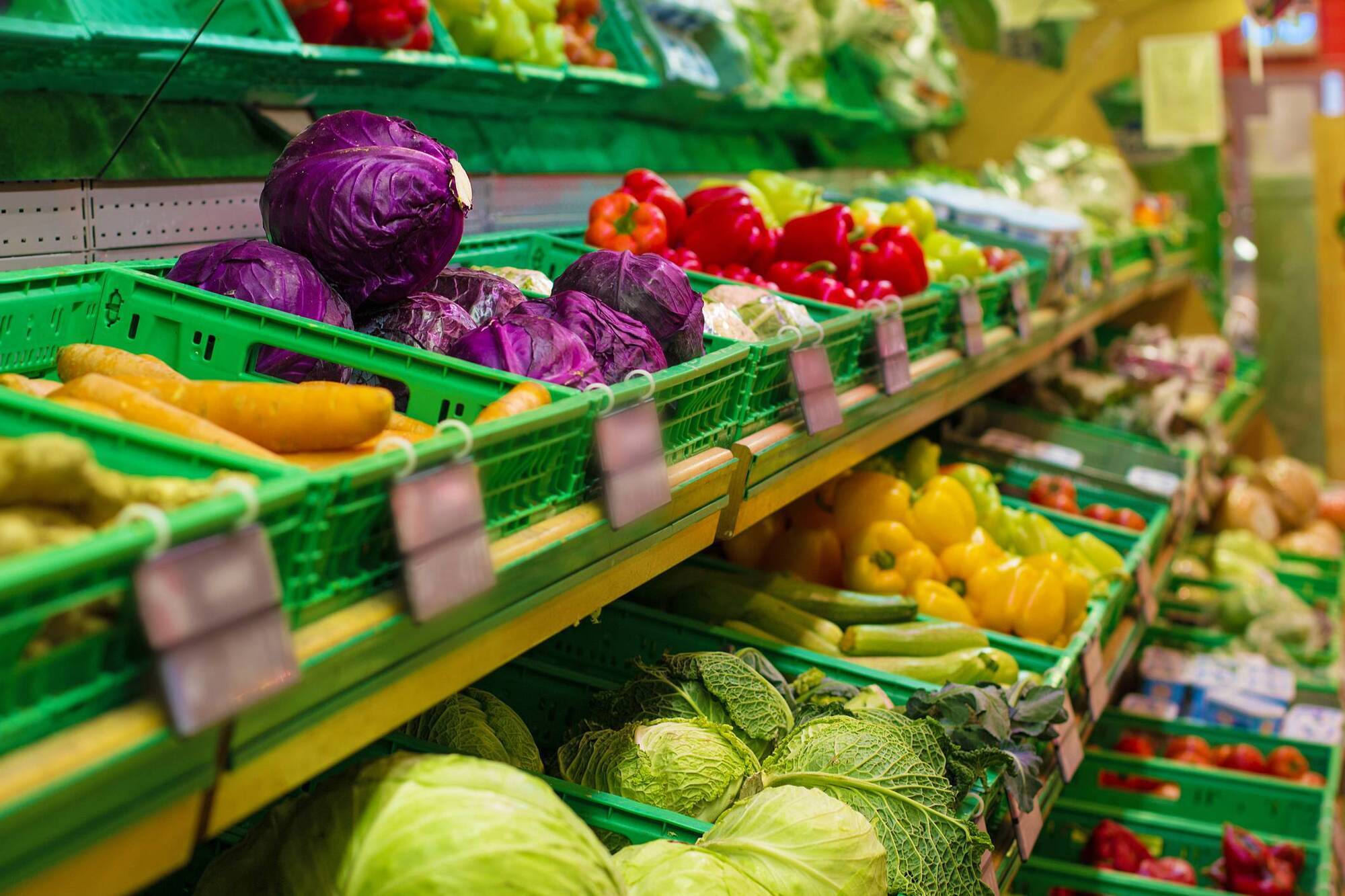 Bill to establish food regulator signed into law