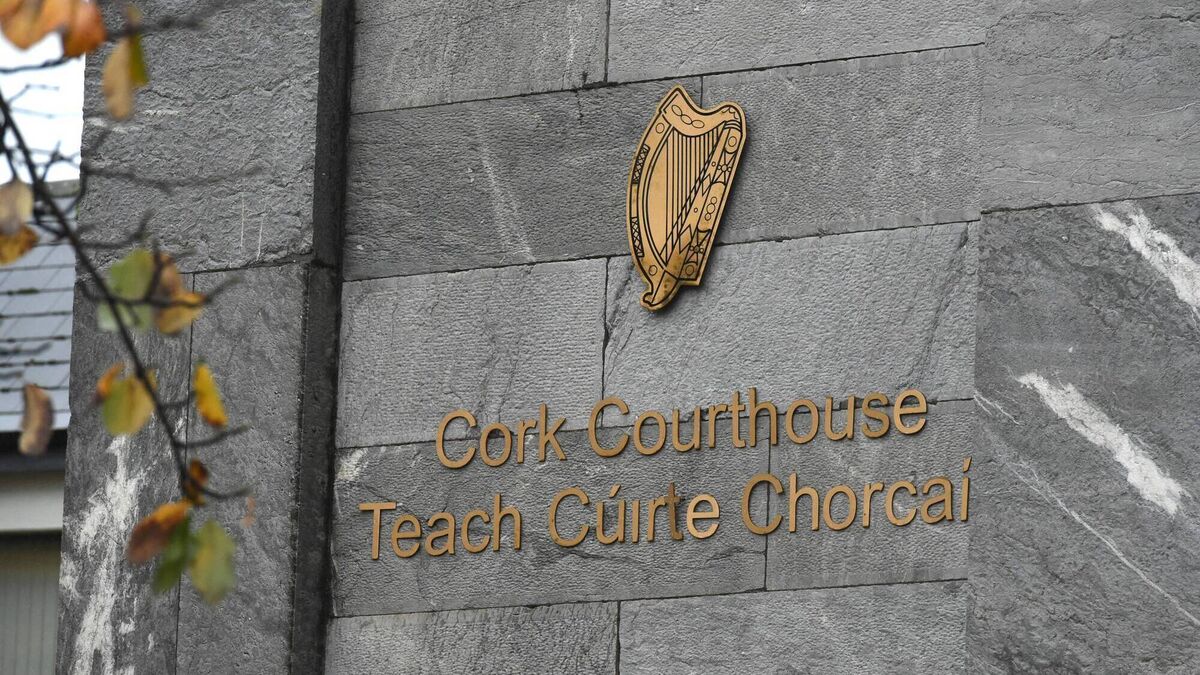 'This court is a load of shit', Corkman denied bail over breaking into car told judge - Vimarsana News