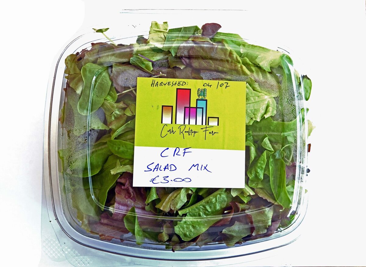 Cork Rooftop Farm packaged salads. Pic: Denis Minihane.