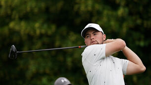 Alex Fitzpatrick still expects to be in the shadow of his major-winning brother Matt at The Open (Brian Lawless/PA)