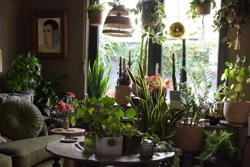 The sitting room. The sitting room.