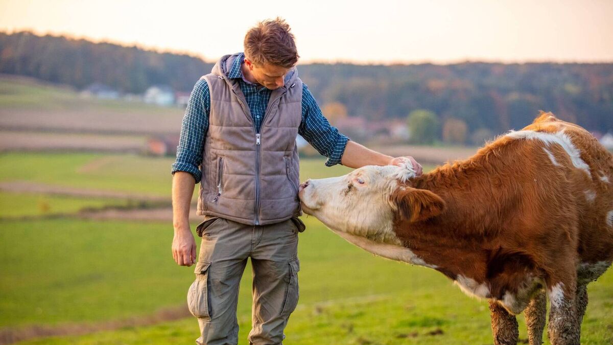 Hazell Mullins: Think 'carrot over stick' when working with livestock - Vimarsana News