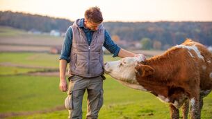 <p>It's important to get calves (and other stock) used to you by interacting whilst feeding to help develop a positive reinforced relationship with their handler, writes farm vet Hazell Mullins.</p>