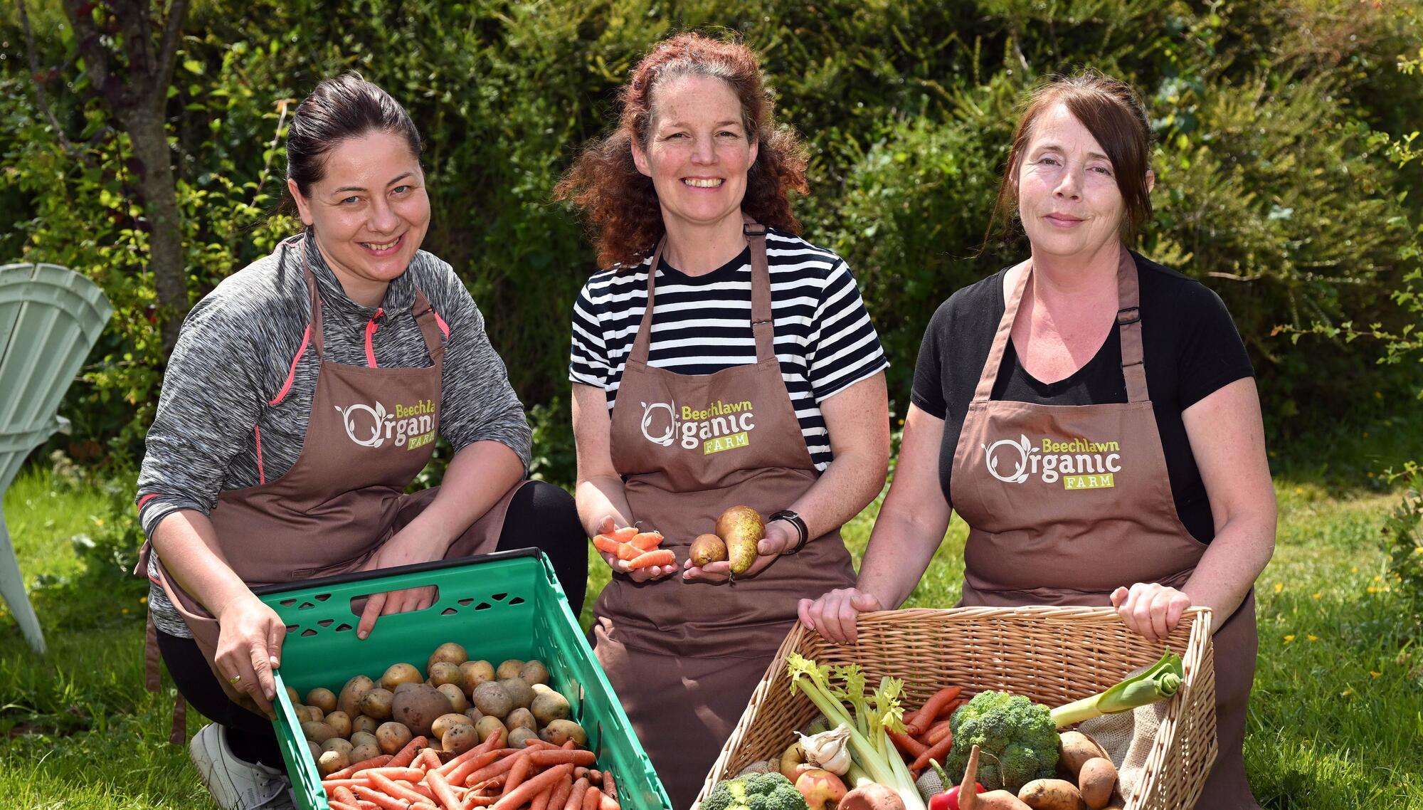 Wonky veg: ‘Nature has a sense of humour, it doesn’t always grow to our standards’