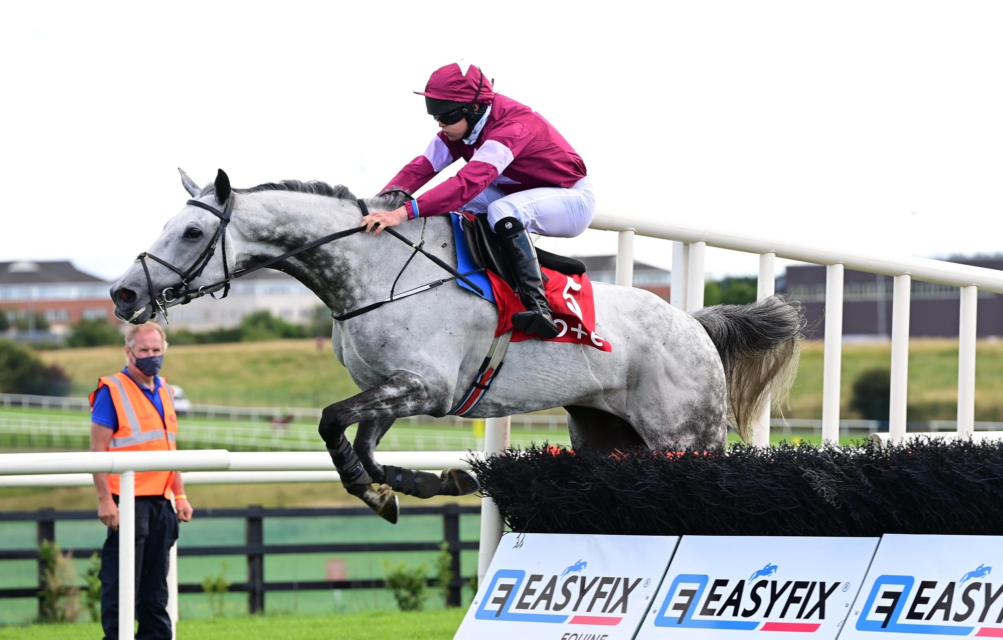 From pollinator strips to energy: How Irish horse racing is looking to greener pastures