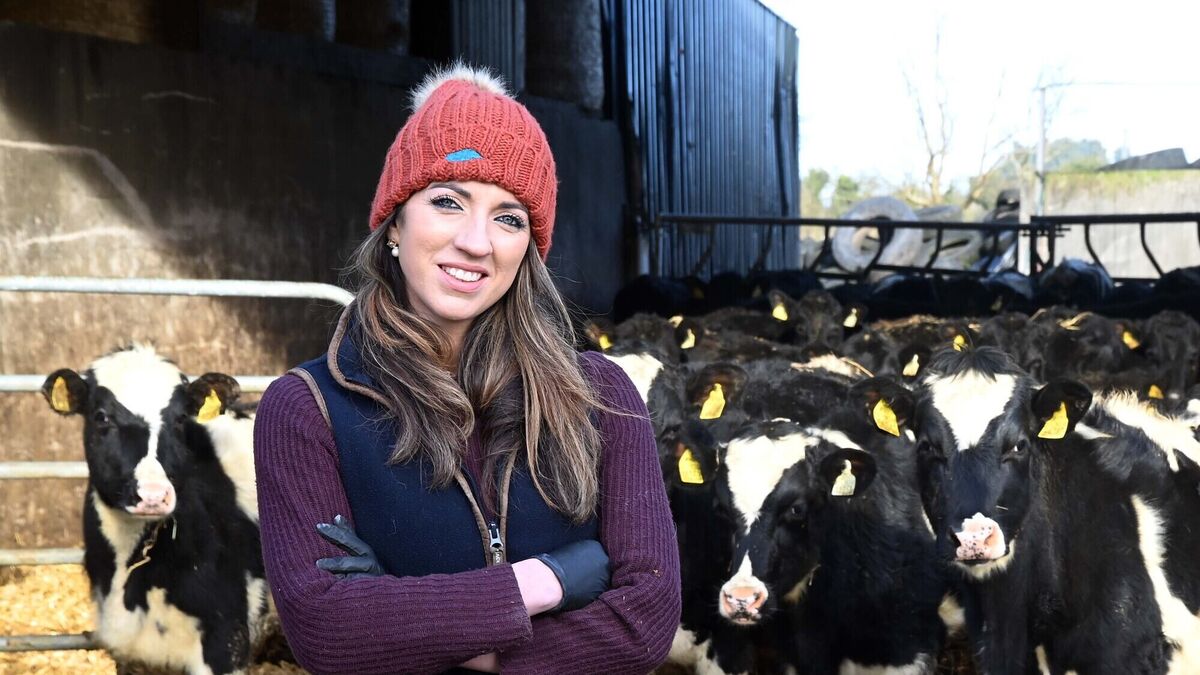 Why IBR vaccination should be a cornerstone of your herd health plan - Vimarsana News