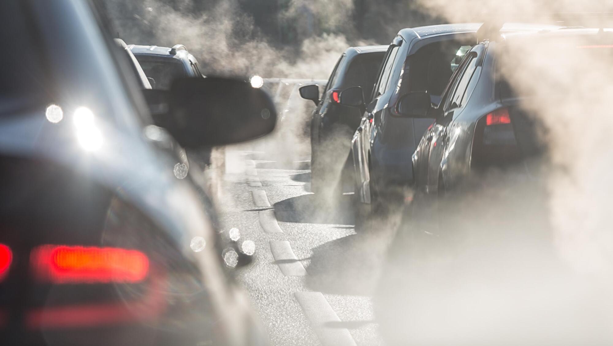 Public 'constantly bombarded' with ads for polluting cars amid climate crisis, Dáil told