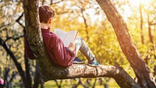 <p>Sometimes a little reading can inspire the biggest of bravery. Pic: iStock.</p>