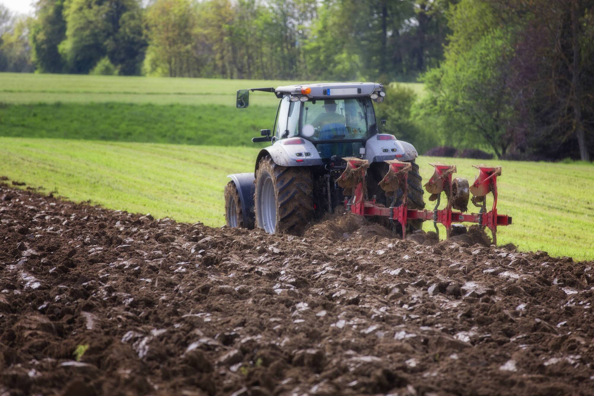 Putting down roots: How reseeding can boost your bottom line