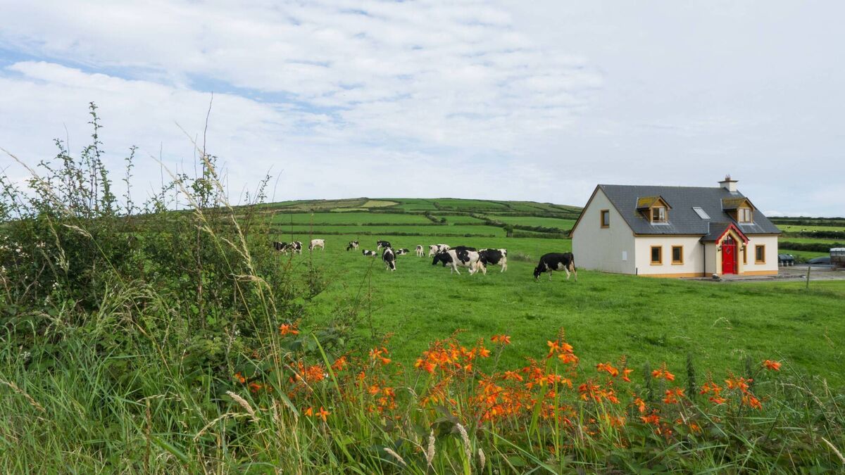 Thinking of buying farmland? Rural solicitor Karen Walsh gives her top tips - Vimarsana News