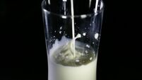 Milk Stock