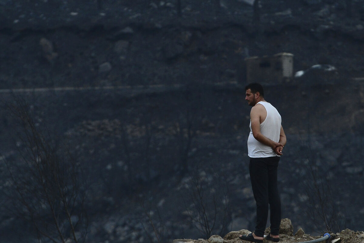 A man looks at the aftermath of a raging wildfire, in Bouira, Algeria. Picture: AP Photo A man looks at the aftermath of a raging wildfire, in Bouira, Algeria. Picture: AP Photo