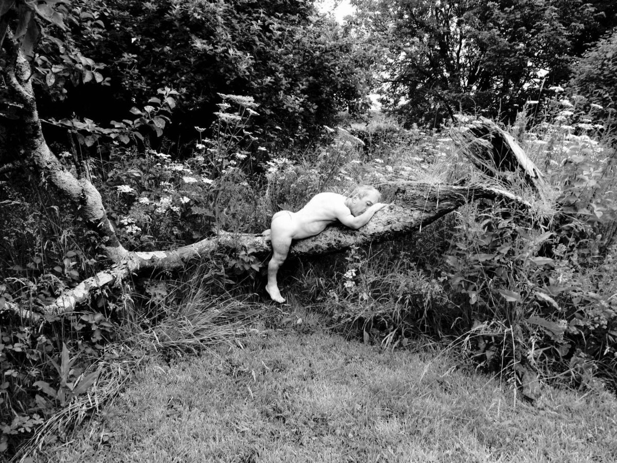 Rachel Ballagh's 'Back Garden'