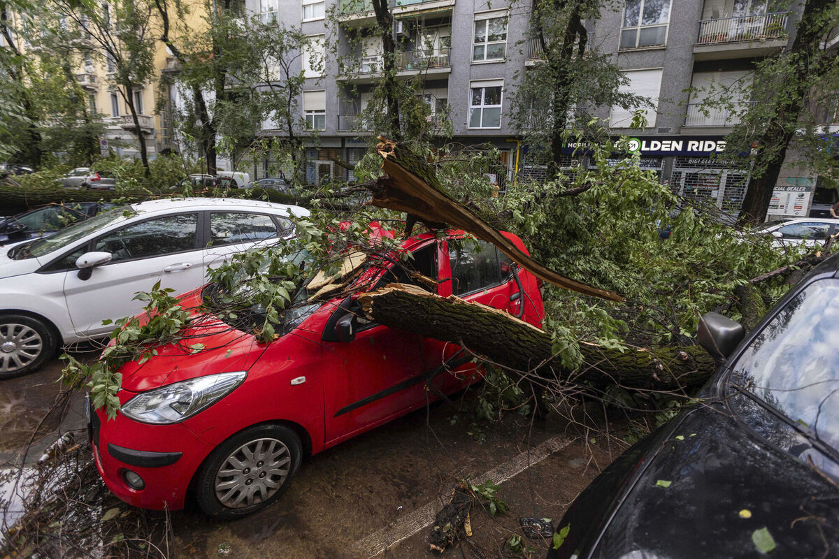 A tree lies on a car after falling over during a strong storm in Milan on Tuesday. Picture: Claudio Furlan/LaPresse via AP A tree lies on a car after falling over during a strong storm in Milan on Tuesday. Picture: Claudio Furlan/LaPresse via AP
