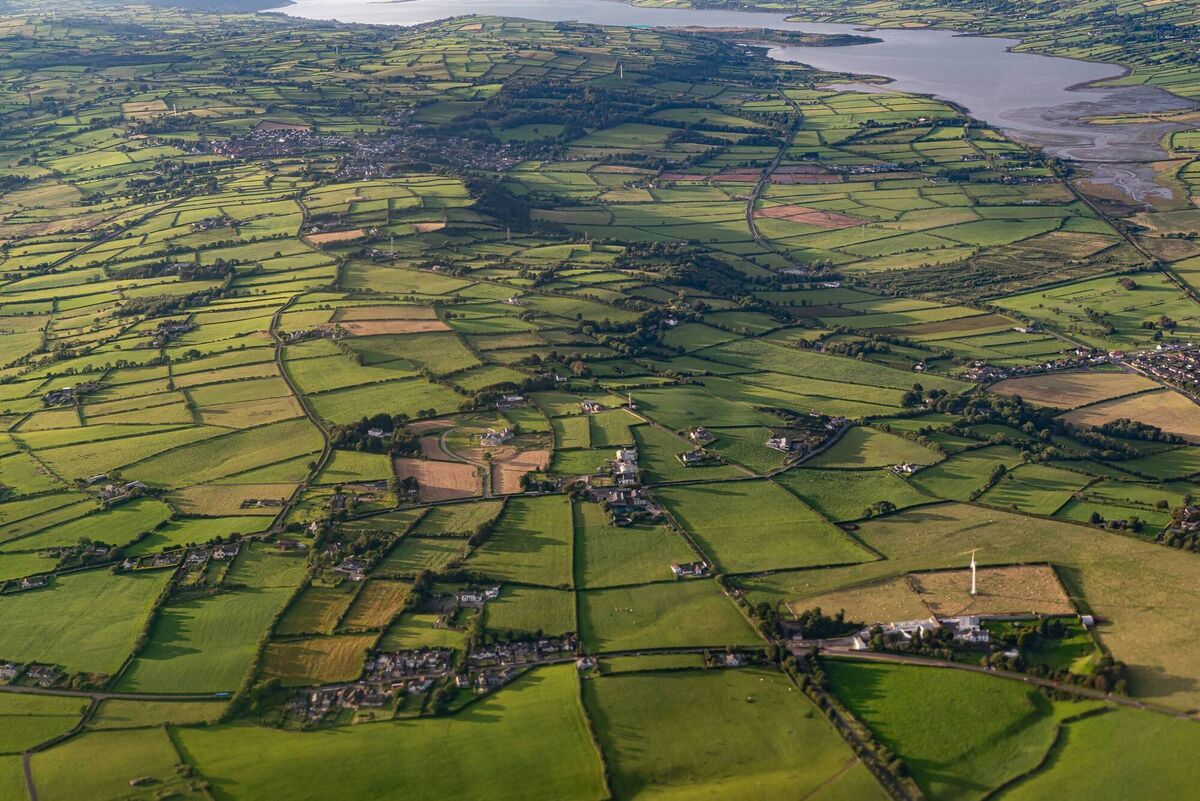 Our hedgerows form a complex tapestry of interconnecting biodiversity highways and are at their colourful best right now. Picture: iStock 