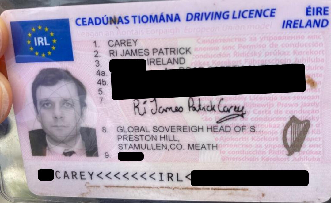 The applicant's driving licence. Picture: IrishPhotoDesk.ie