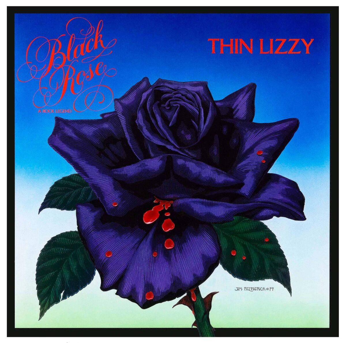 Jim Fitzpatrick's Black Rose Album cover