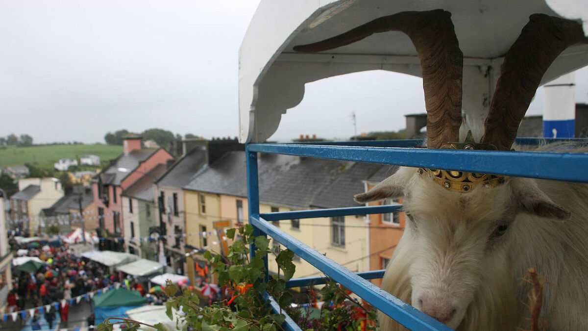 A robotic goat?! What the Puck? - Vimarsana News