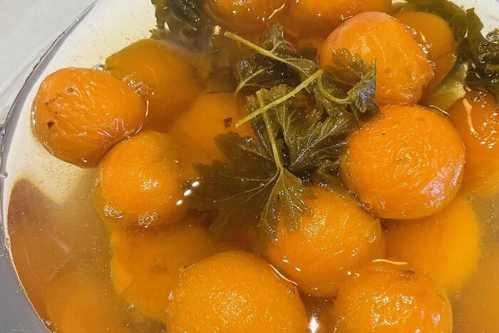 Poached Apricots with Sweet Geranium Leaves