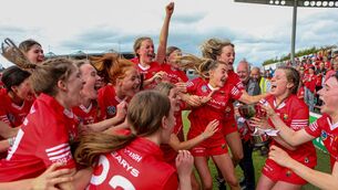 <p>Cork players celebrate with the cup Photo: ©INPHO/Ken Sutton </p>