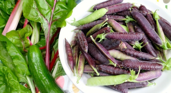 Peas, please, for a quick and easy treat