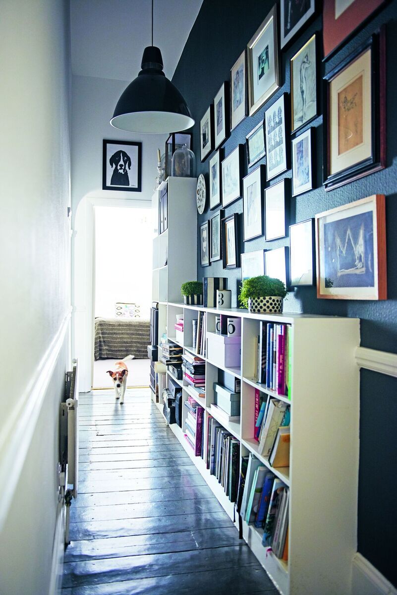  Author Geraldine James' rescue dog Eddie enjoys the run of his family's home.