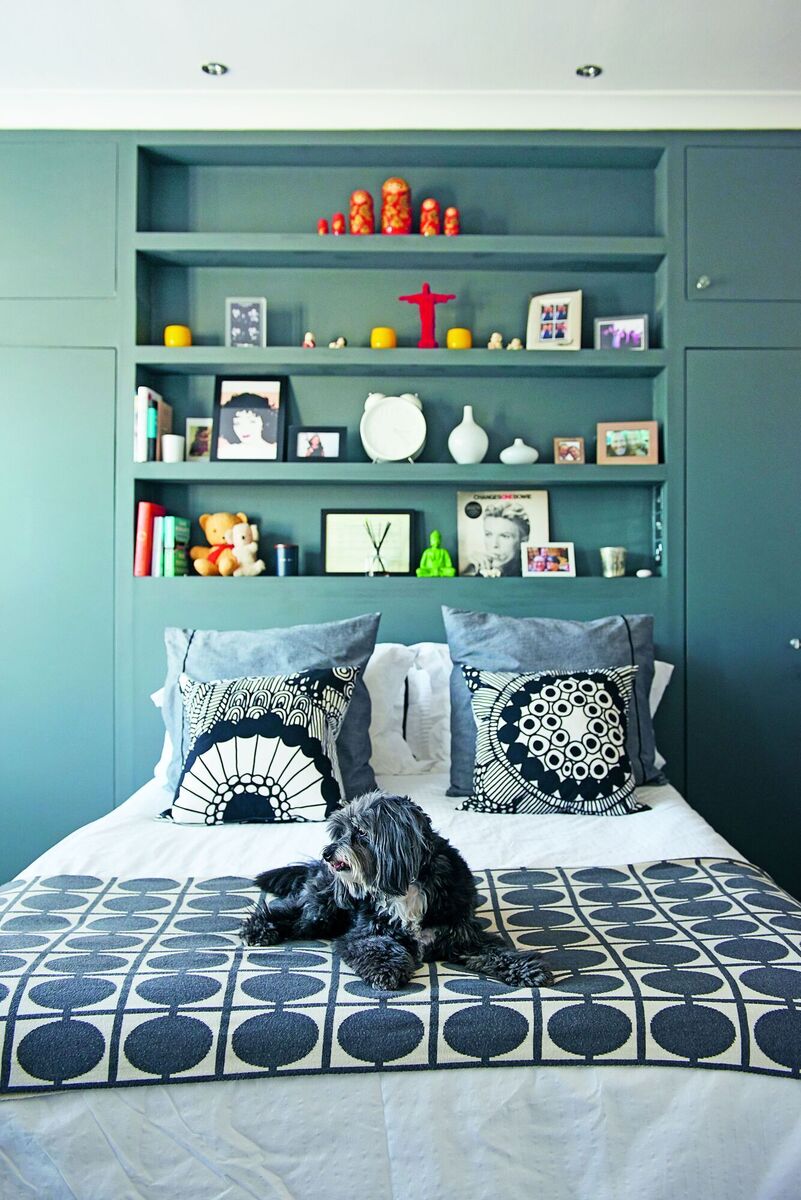  Rescue dog Flynn, a maltipoo, enjoying the comfort of his family home in Wandsworth, south London.