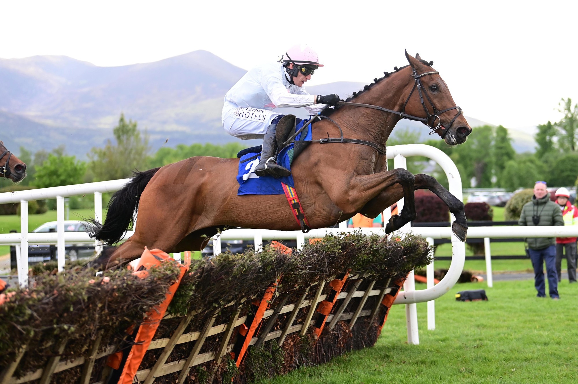 Galway day two tips: Absurde can prove himself a class apart
