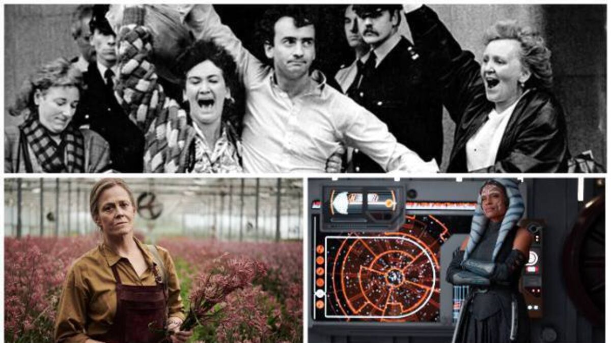 10 TV & streaming shows to see in August: Painkiller, new Star Wars, Alice Hart... - Vimarsana News
