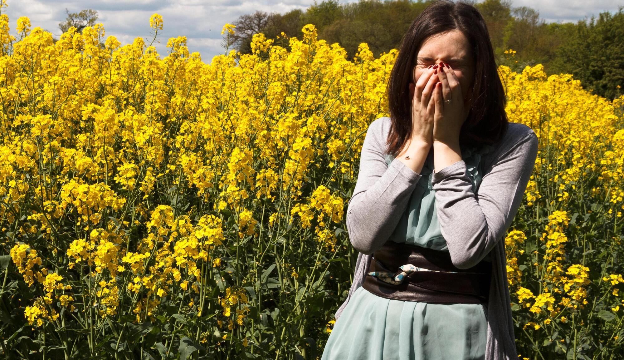 Bernard O'Shea: When hayfever begins in your forties