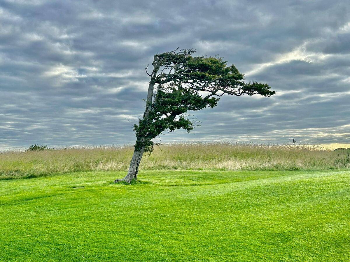 Galway Bay Golf resort, looking to claim its place among the country's west and south west coast elite courses.