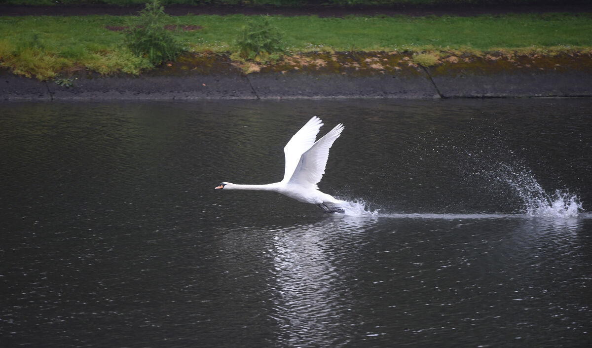 Psychological studies show that harbour views like Cork’s Marina or even an urban fountain can have a positive, calming effect, restorative effect. 