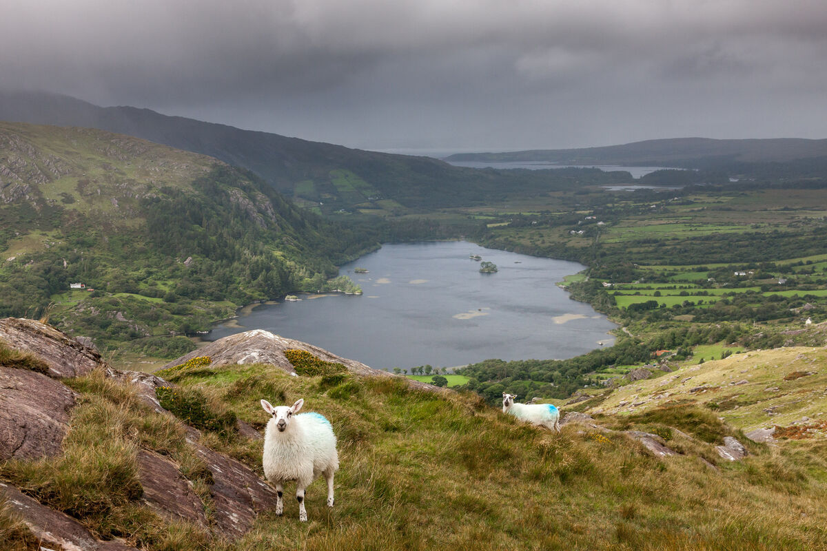 Healy Pass, overlooking Glanmore Lake on the Cork-Kerry Border. Picture; David Creedon / Anzenberger Healy Pass, overlooking Glanmore Lake on the Cork-Kerry Border. Picture; David Creedon / Anzenberger