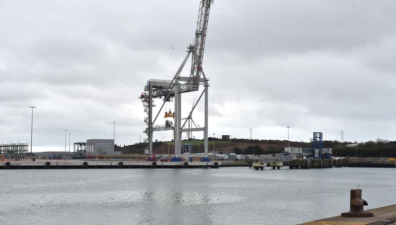 The Port of Cork's container terminal at Ringaskiddy. File Picture: Dan Linehan