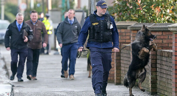 The Garda Dog Unit and gardaí at the scene of a fatal attack on Avenue Road, Dundalk, Co Louth. Picture: Colin Keegan