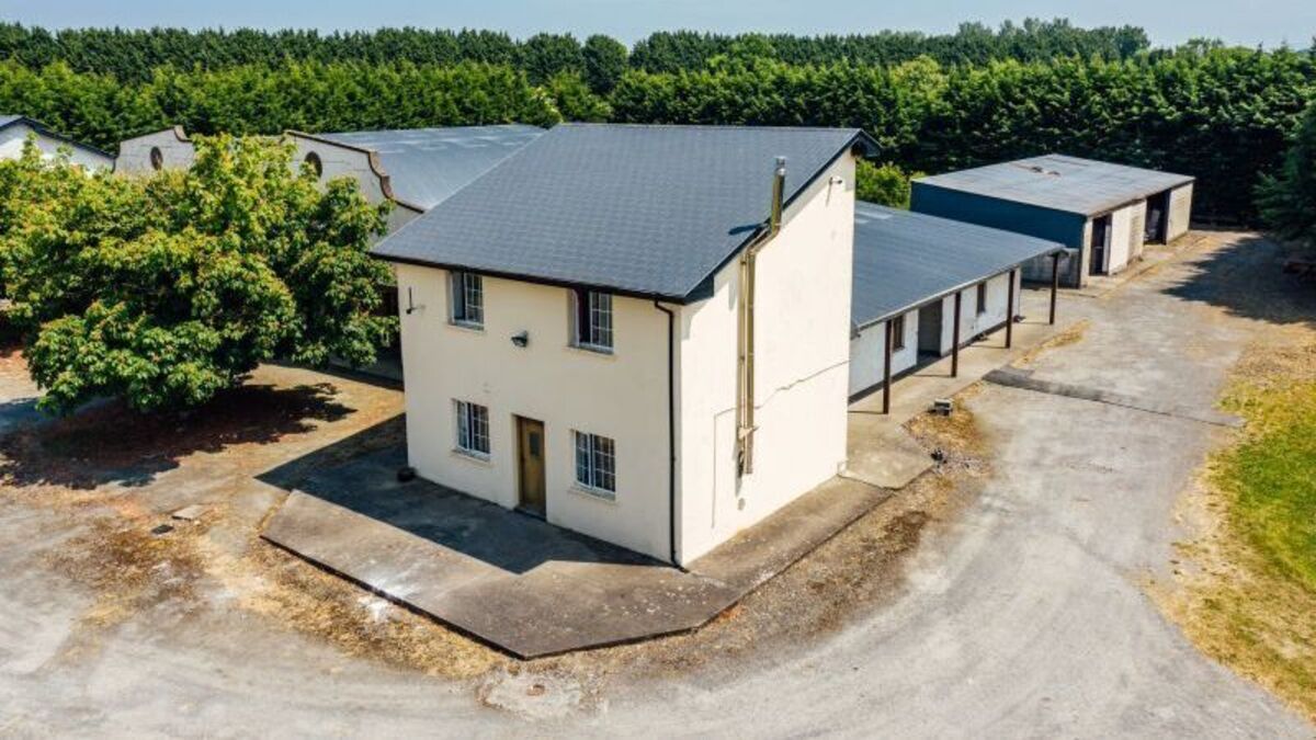 €1.4m guide for 62-acre stud farm in Kildare - Vimarsana News