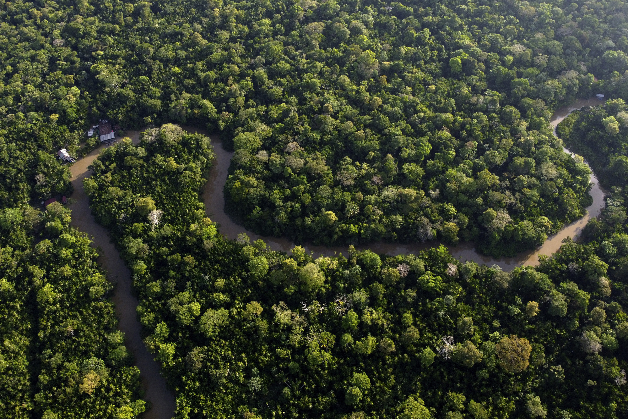 Eight Amazon rainforest countries open summit in Brazil