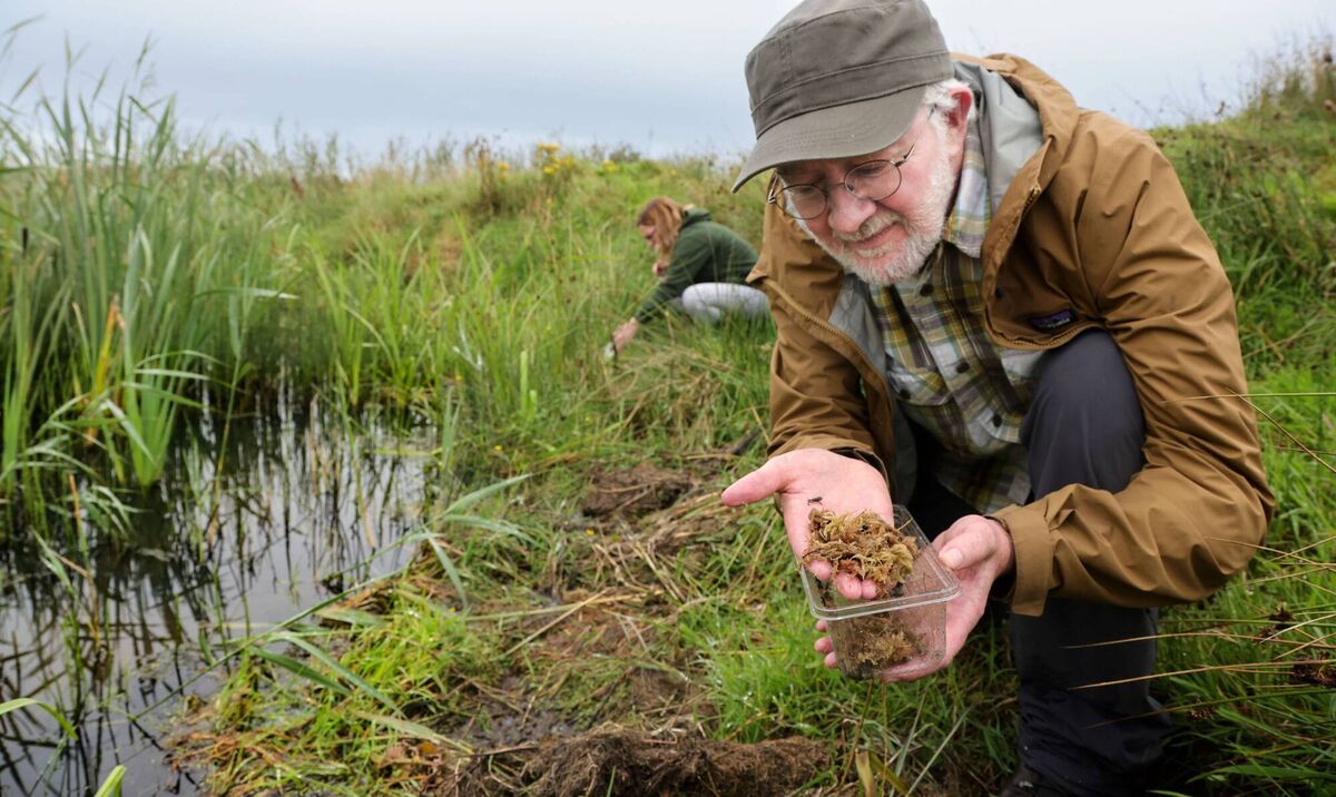 Minister for Heritage and Electoral Reform Malcolm Noonan, releasing Natterjack toadlets back to the Kingdom. Pictures: Valerie O'Sullivan Minister for Heritage and Electoral Reform Malcolm Noonan, releasing Natterjack toadlets back to the Kingdom. Pictures: Valerie O'Sullivan