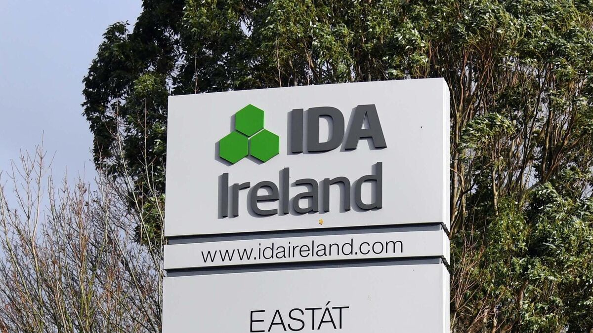 IDA spends €165k on legal consultancy for just 13 FOIs - Vimarsana News